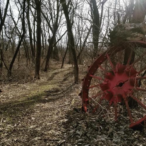 A red wagon wheel rests on the ground beside a narrow, winding path through a wooded area.