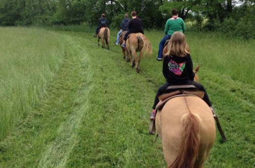 A group of people riding horses along a grassy trail in a lush green field.