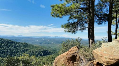 A scenic view of mountains and forests under a clear blue sky, framed by tall pine trees and rocky outcrops.