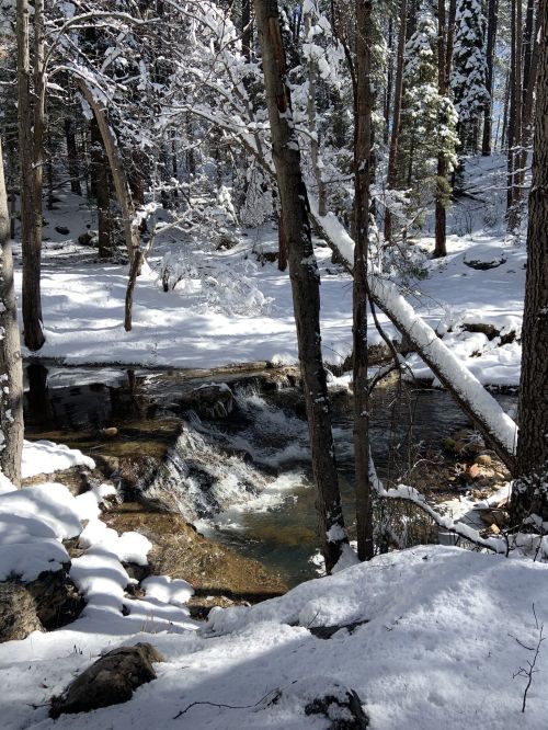 A snowy forest scene with a flowing creek surrounded by trees and a blanket of fresh snow.