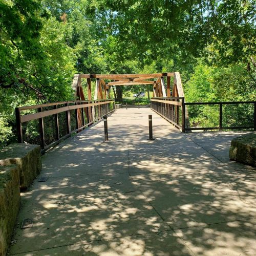 A wooden bridge surrounded by lush greenery, with dappled sunlight creating shadows on the path.