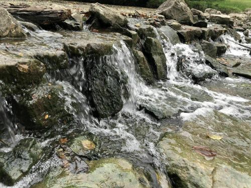 A small waterfall cascades over rocky terrain, surrounded by greenery and scattered leaves.