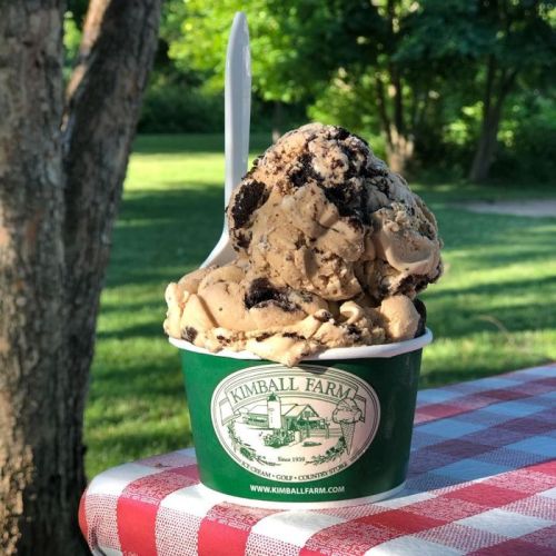 A green cup filled with chocolate chip cookie dough ice cream topped with cookie crumbles, set on a picnic table.