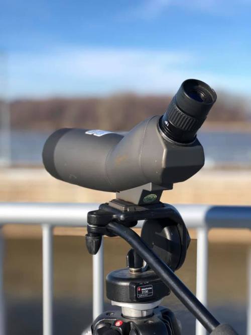 A spotting scope mounted on a tripod, overlooking a body of water under a clear blue sky.