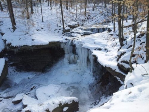 A frozen waterfall surrounded by snow-covered trees in a winter landscape.
