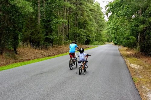 A man and a child ride bicycles down a tree-lined road, enjoying a leisurely day outdoors.