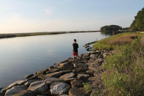 A boy stands on rocky shore, fishing by a calm river with grassy banks and trees in the background under a clear sky.