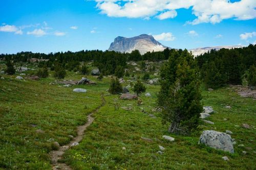 A scenic landscape featuring a grassy meadow, rocky terrain, and a distant mountain under a blue sky with clouds.