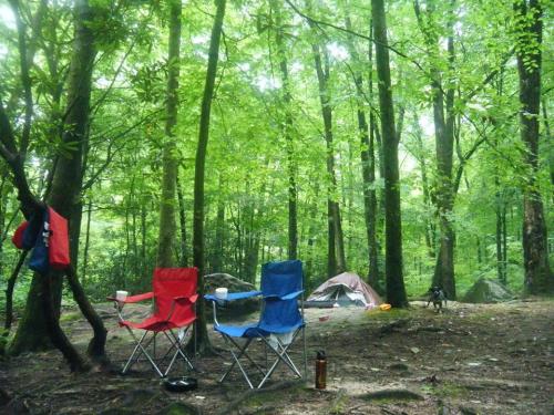 Two camping chairs in red and blue sit on a forest floor, with a tent and trees in the background.