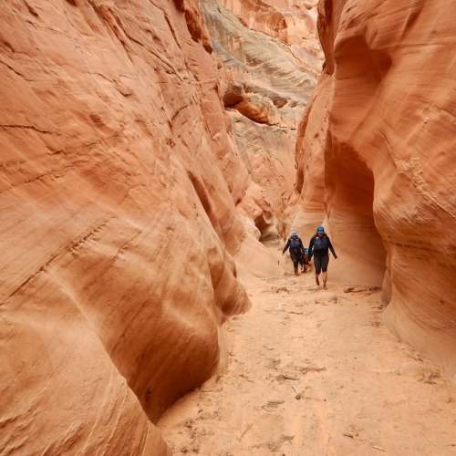 Two hikers navigate a narrow, winding canyon with vibrant red rock walls.