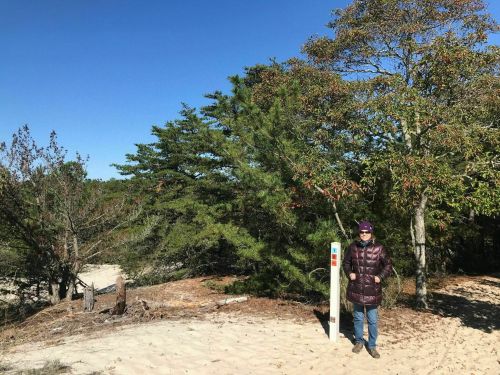 A person stands beside a trail marker in a sandy area surrounded by trees under a clear blue sky.