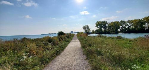 A scenic pathway leads towards a lake, bordered by greenery and trees under a bright blue sky.