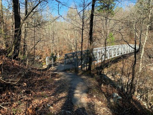 A metal bridge spans a wooded area, surrounded by bare trees and fallen leaves on a sunny day.