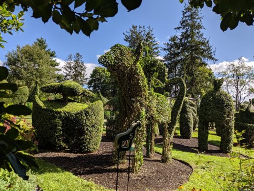 Topiary animals shaped from hedges in a lush garden, featuring a giraffe, elephant, and other whimsical forms.