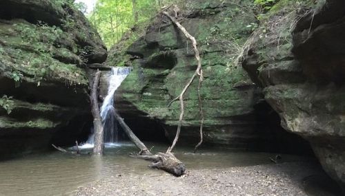A serene waterfall cascades into a rocky creek, surrounded by lush greenery and steep, moss-covered cliffs.