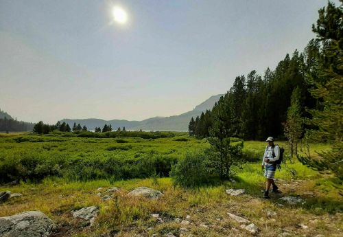A hiker walks through a lush green landscape with mountains in the background under a bright sun.