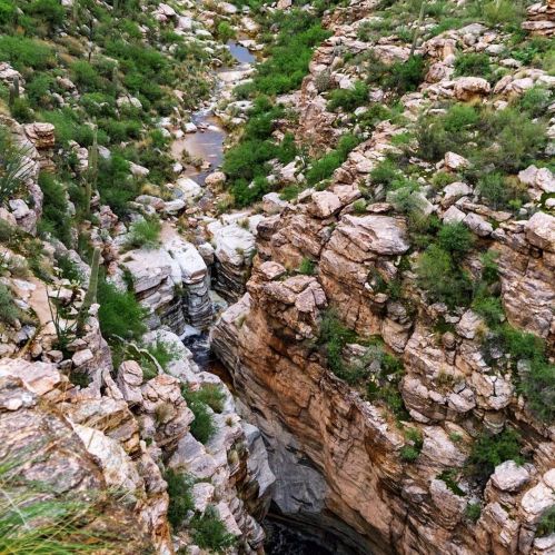 Aerial view of a rocky canyon with a winding stream and lush greenery along the cliffs.