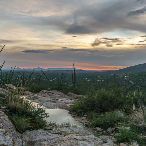 A rocky landscape with a small pool of water, framed by desert plants under a colorful sunset sky.