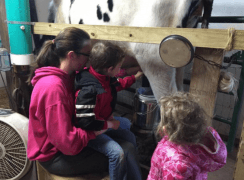 A woman and two children are sitting on a bench, milking a cow in a barn setting.