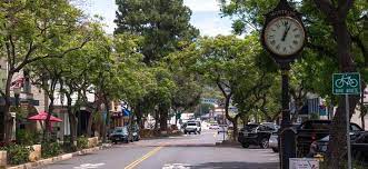 A tree-lined street with a clock, shops, and parked cars under a clear sky.
