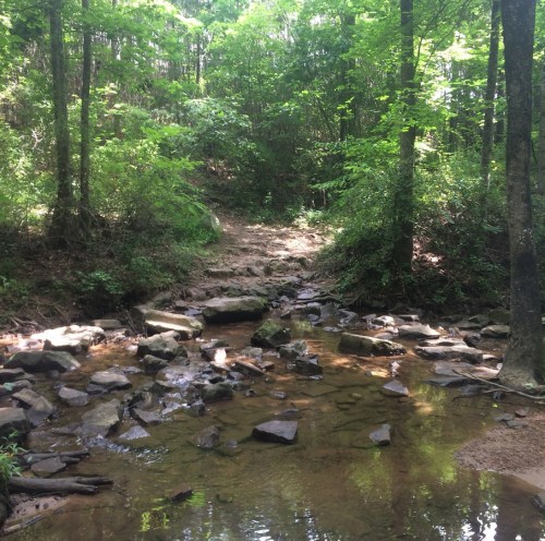 A serene forest scene featuring a small stream with rocks, surrounded by lush green trees and a dirt path.