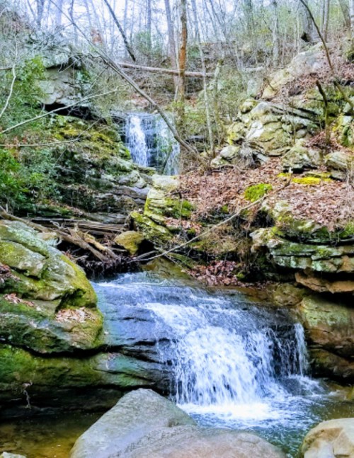A serene waterfall cascades over rocky terrain, surrounded by lush greenery and fallen leaves in a tranquil forest setting.
