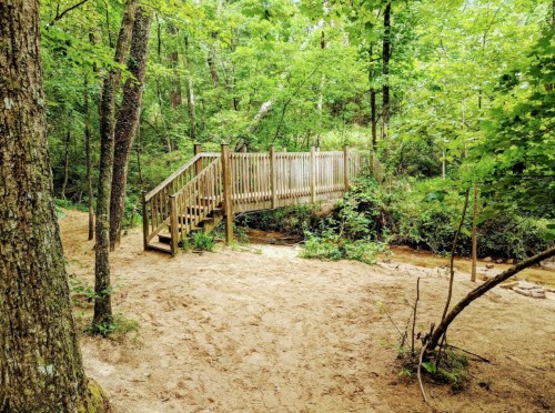 A wooden bridge over a small stream, surrounded by lush green trees and sandy ground in a forested area.