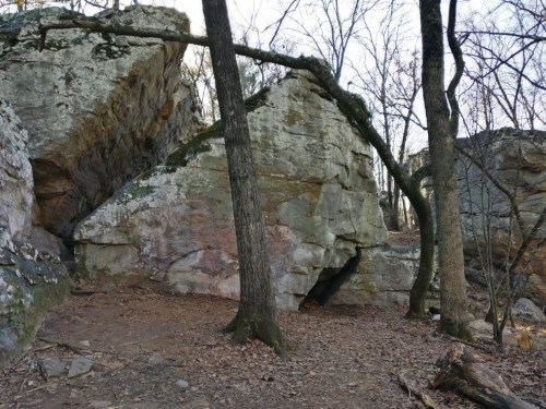 A rocky landscape with large boulders and bare trees, surrounded by fallen leaves on the ground.