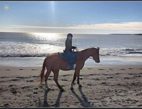A person riding a horse along a beach with gentle waves and a bright sky in the background.