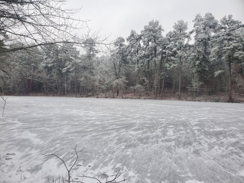 A snowy landscape featuring a frozen lake surrounded by tall, snow-covered trees.