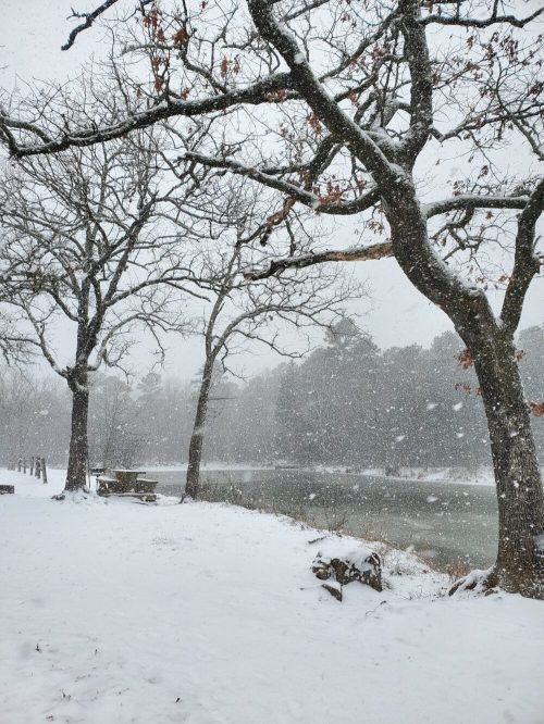 A snowy landscape with bare trees beside a river, creating a serene winter scene. Snowflakes gently fall from the sky.