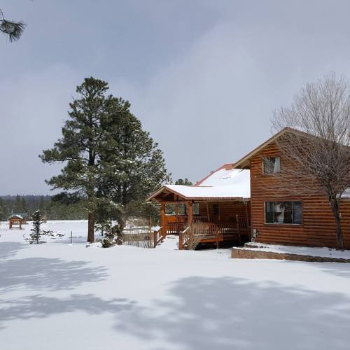 A log cabin surrounded by snow-covered ground and pine trees under a cloudy sky.