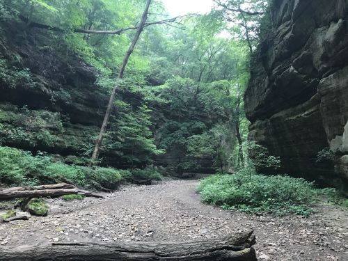 A serene canyon with tall, rocky walls, lush green trees, and a gravel path leading through the natural landscape.