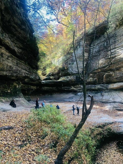 A scenic canyon with colorful autumn foliage, people exploring the rocky landscape and a carpet of fallen leaves.