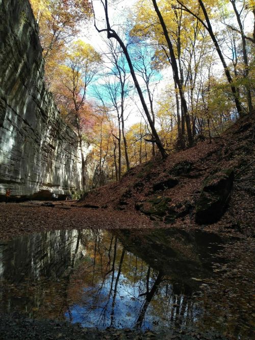 A serene canyon scene with colorful autumn trees reflecting in a calm pool of water.