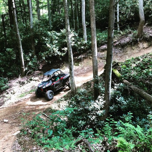 A side-by-side vehicle navigates a dirt trail through a lush green forest.