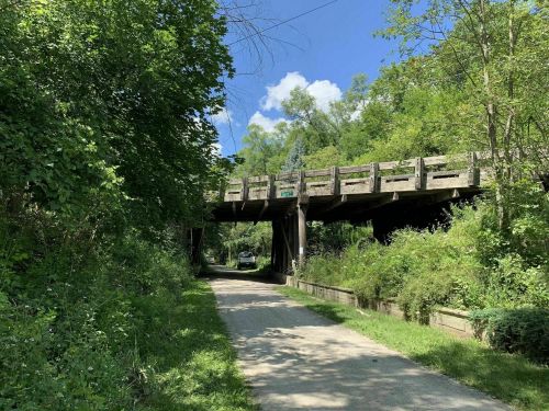 A dirt path leads under a wooden bridge, surrounded by lush greenery and blue skies with scattered clouds.