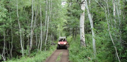 A red off-road vehicle drives along a narrow dirt path through a lush green forest with tall trees.