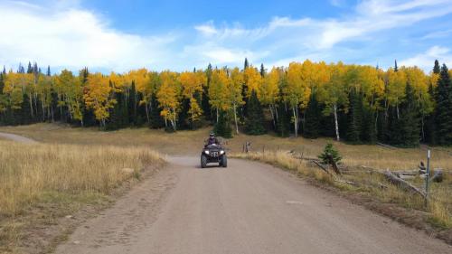 A person riding an ATV on a dirt road surrounded by vibrant autumn trees and a grassy landscape.