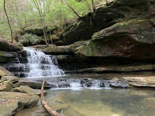 A serene waterfall cascades over rocks into a calm pool, surrounded by lush green trees and mossy cliffs.
