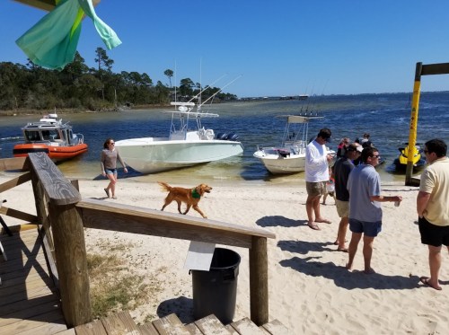A sandy beach scene with people, boats, and a dog walking along the shore under a clear blue sky.