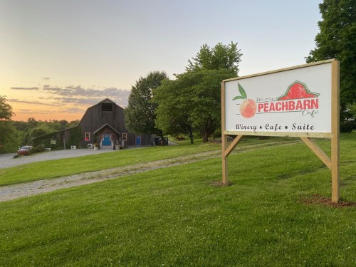 A sign for Peachbarn Café and Winery beside a rustic barn at sunset, surrounded by green grass and trees.