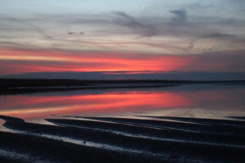 A serene sunset over calm waters, with vibrant red and purple hues reflecting on the surface and rippled sand in the foreground.