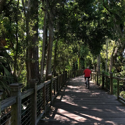 A person riding a bicycle on a wooden path surrounded by lush greenery and trees.