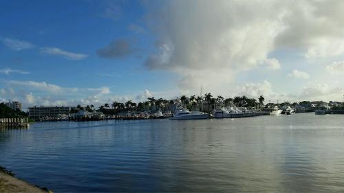 A serene marina with yachts and palm trees under a blue sky with scattered clouds. Reflections on calm water.