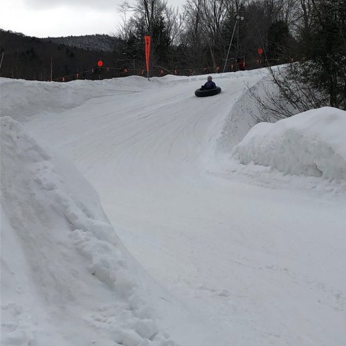 A person rides a snow tube down a snowy slope, surrounded by trees and orange markers.