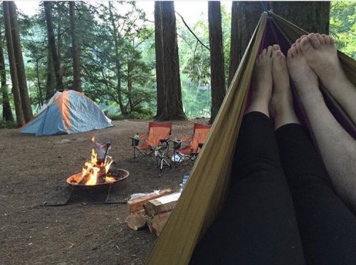 A cozy campsite with a hammock, campfire, and tents surrounded by tall trees and a serene lake.