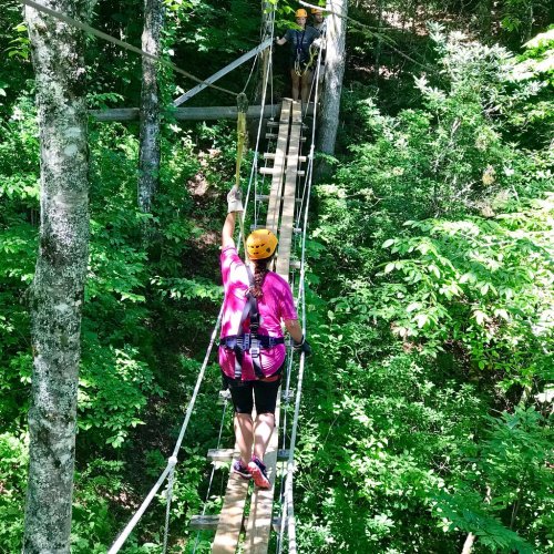 A person in a pink shirt and helmet walks on a wooden bridge high among green trees in a forested area.