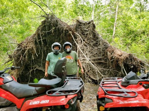 Two people wearing helmets stand beside red ATVs in front of a large uprooted tree in a forested area.