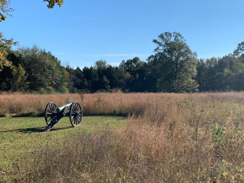 A historic cannon sits in a grassy field surrounded by trees under a clear blue sky.